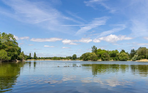 RETOUR AU GRAND ETANG
